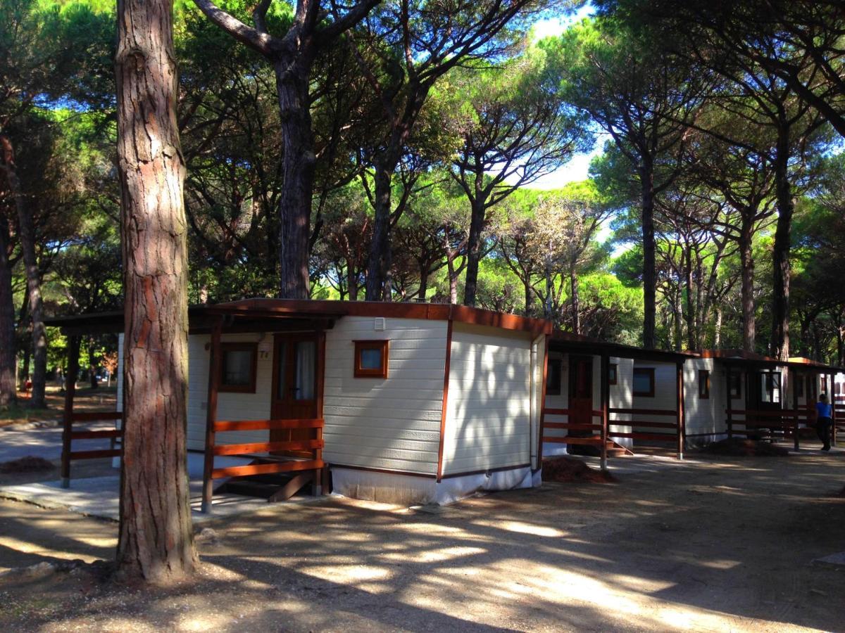 Buona Mobile Homes On Mare E Pineta Appartement Lido di Spina