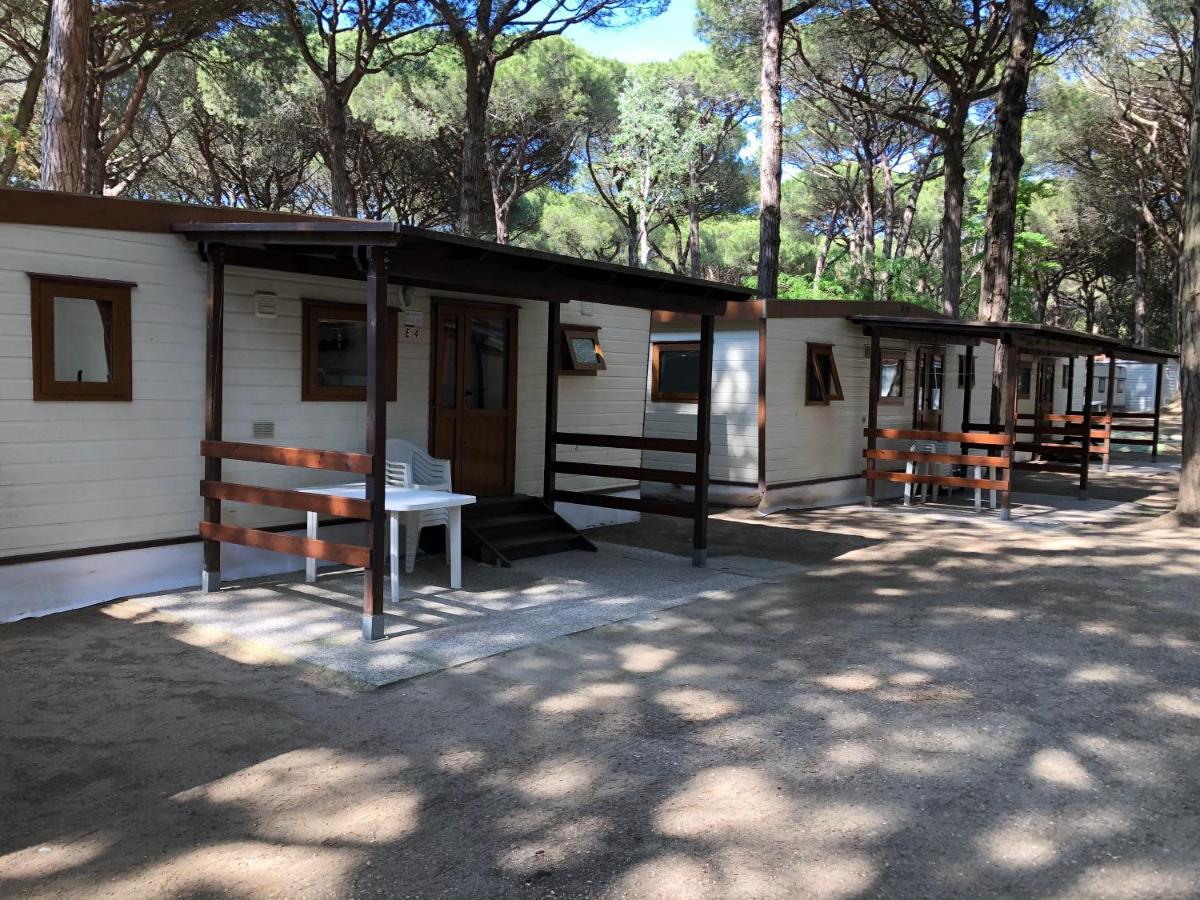 Buona Mobile Homes On Mare E Pineta Appartement *